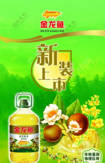 金龙鱼茶籽原香新品上市非转基因图片