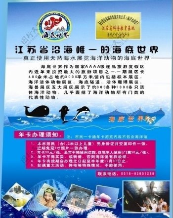 连云港连岛海洋馆宣传海报图片