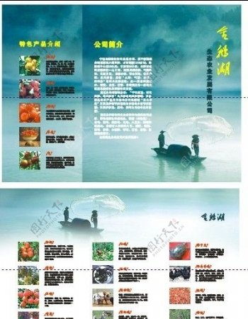 金鹅湖宣传单图片