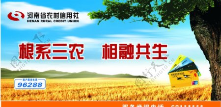 河南省农村信用社户外广告图片
