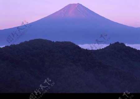 樱花与富士山0075