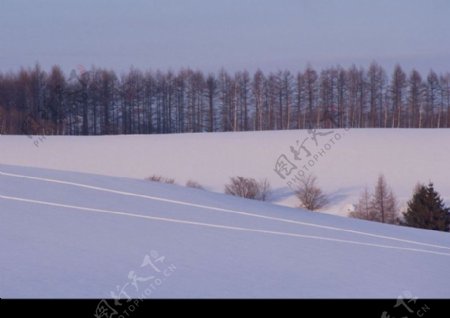 冬天雪景0248