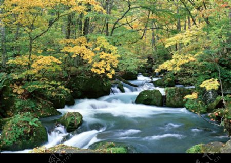 高山流水0101