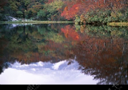 高山流水0152