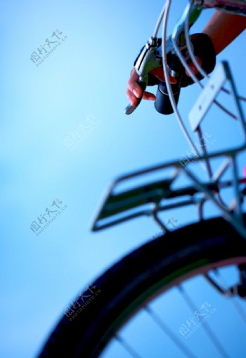 亲子脚踏车0129