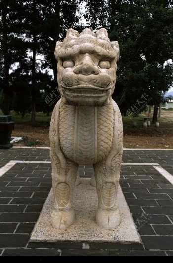 中国雕刻0084