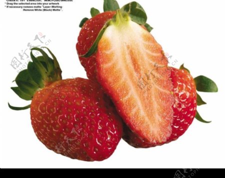 草莓0022