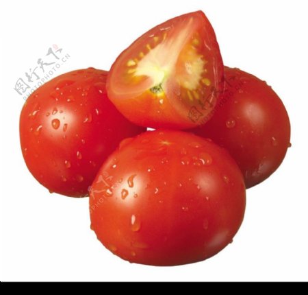 西红柿0020