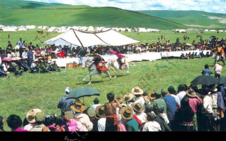 西藏自治区0014