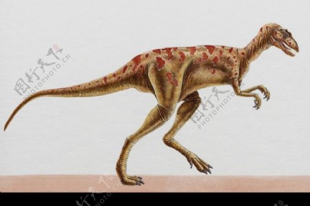 白垩纪恐龙0031