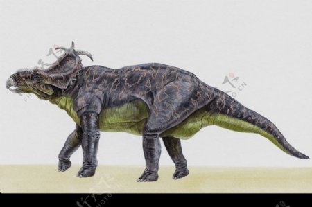 白垩纪恐龙0041