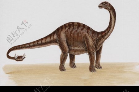 白垩纪恐龙0044
