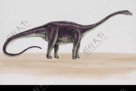 白垩纪恐龙0052