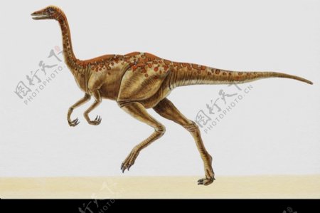 白垩纪恐龙0061
