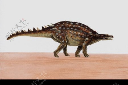 白垩纪恐龙0063