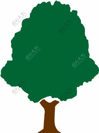 树木1504