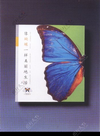中国书籍装帧设计0128