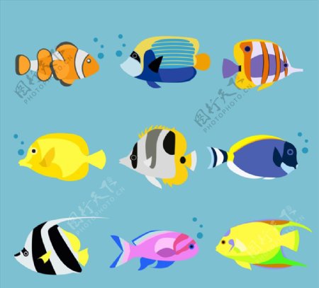 9款卡通海洋鱼类矢量素材