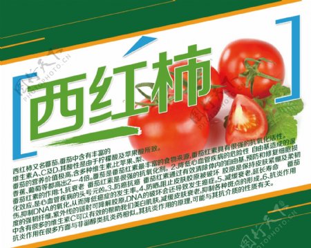 西红柿简介蔬菜简介水果简介