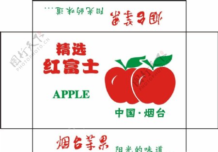 烟台苹果精选红富士苹果矢量