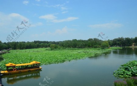 圆明园风景