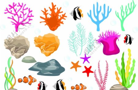 珊瑚礁鱼矢量素材