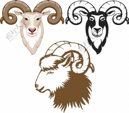 羊年设计素材