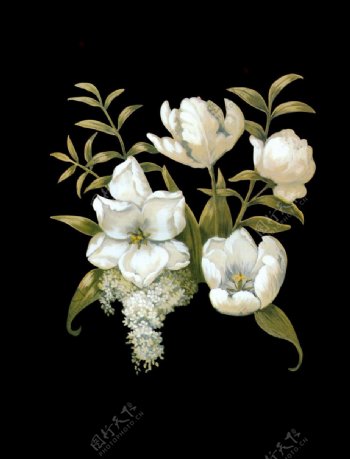 手绘花卉油画花卉白色花卉