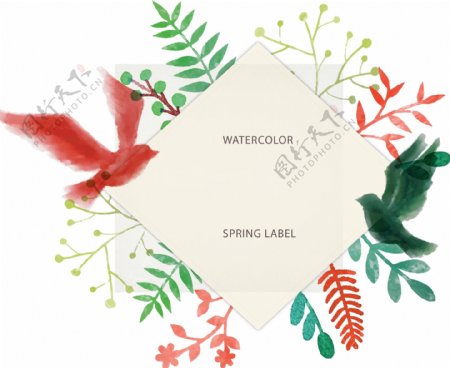 水彩春季花卉标签矢量素材