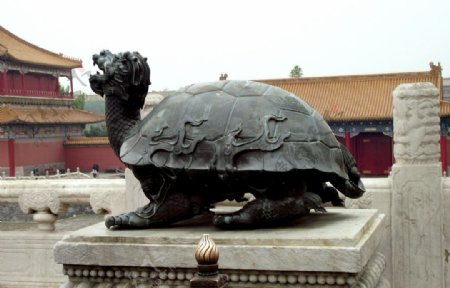 铜雕乌龟