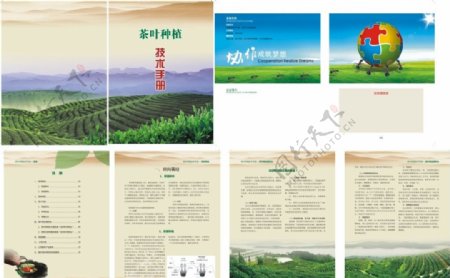 茶叶种植技术手册
