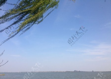 阳澄湖