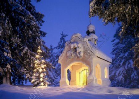 雪地里别墅外的圣诞树