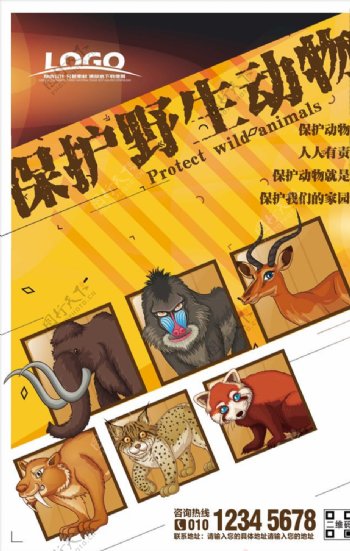 简约时尚保护野生动物海报设计