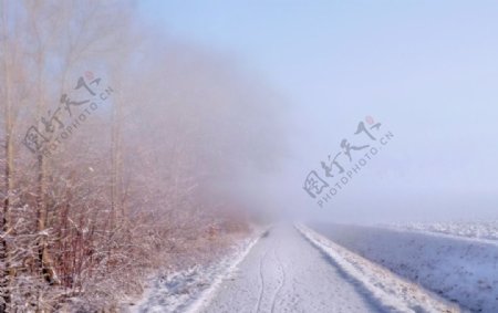 唯美冬天雪景