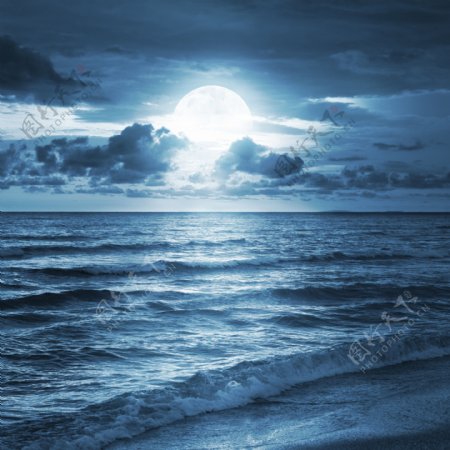月色下的大海