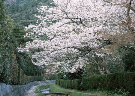 京都