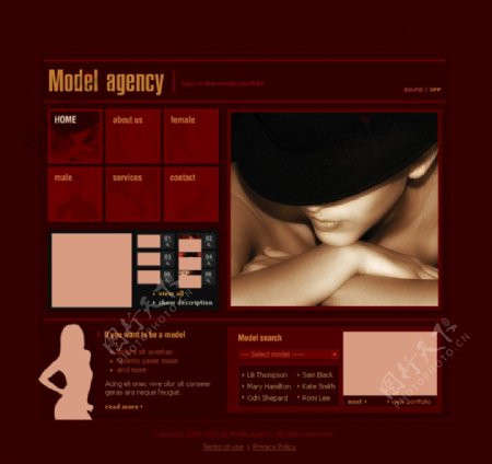 国外美容美女行业网页模板