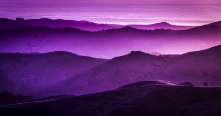 紫色的山