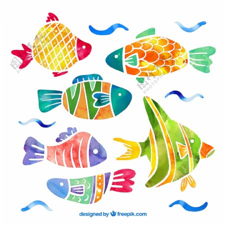 水彩效果鱼