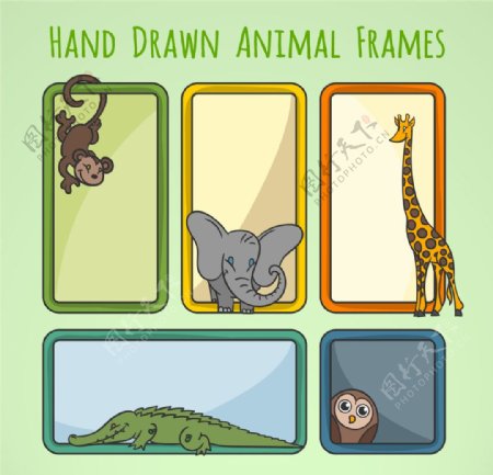 草图野生动物框架