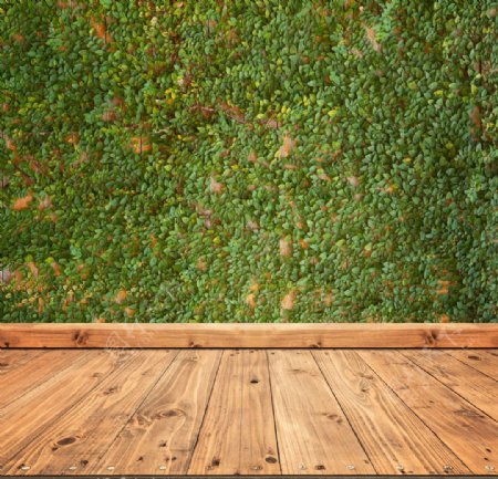 空间木纹地板绿草墙面背景底纹