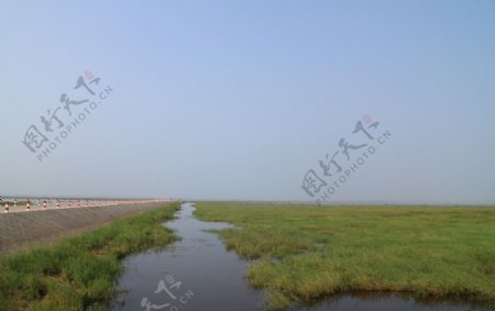 鄱阳湖湿地