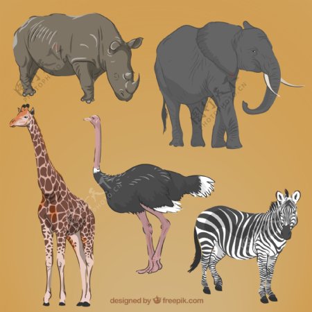 现实手绘非洲动物