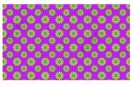 紫色背景黄色菊花