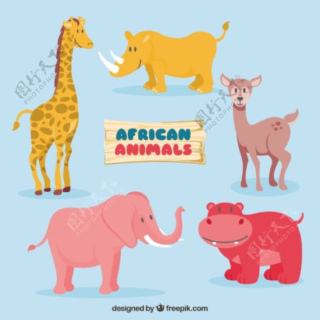 可爱的非洲动物