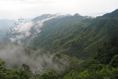 翠绿之峰