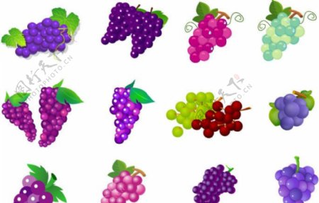 水果矢量素材之葡萄