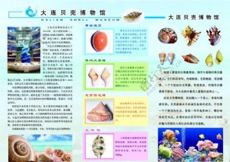 海螺贝壳博物馆三折页