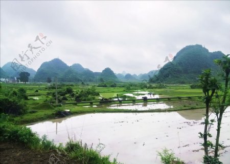 桂林田园